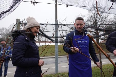 januar 2025 vicekova rez (116)